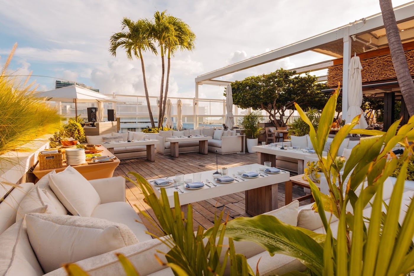 1 Hotel South Beach, dog-friendly hotel, photo 2