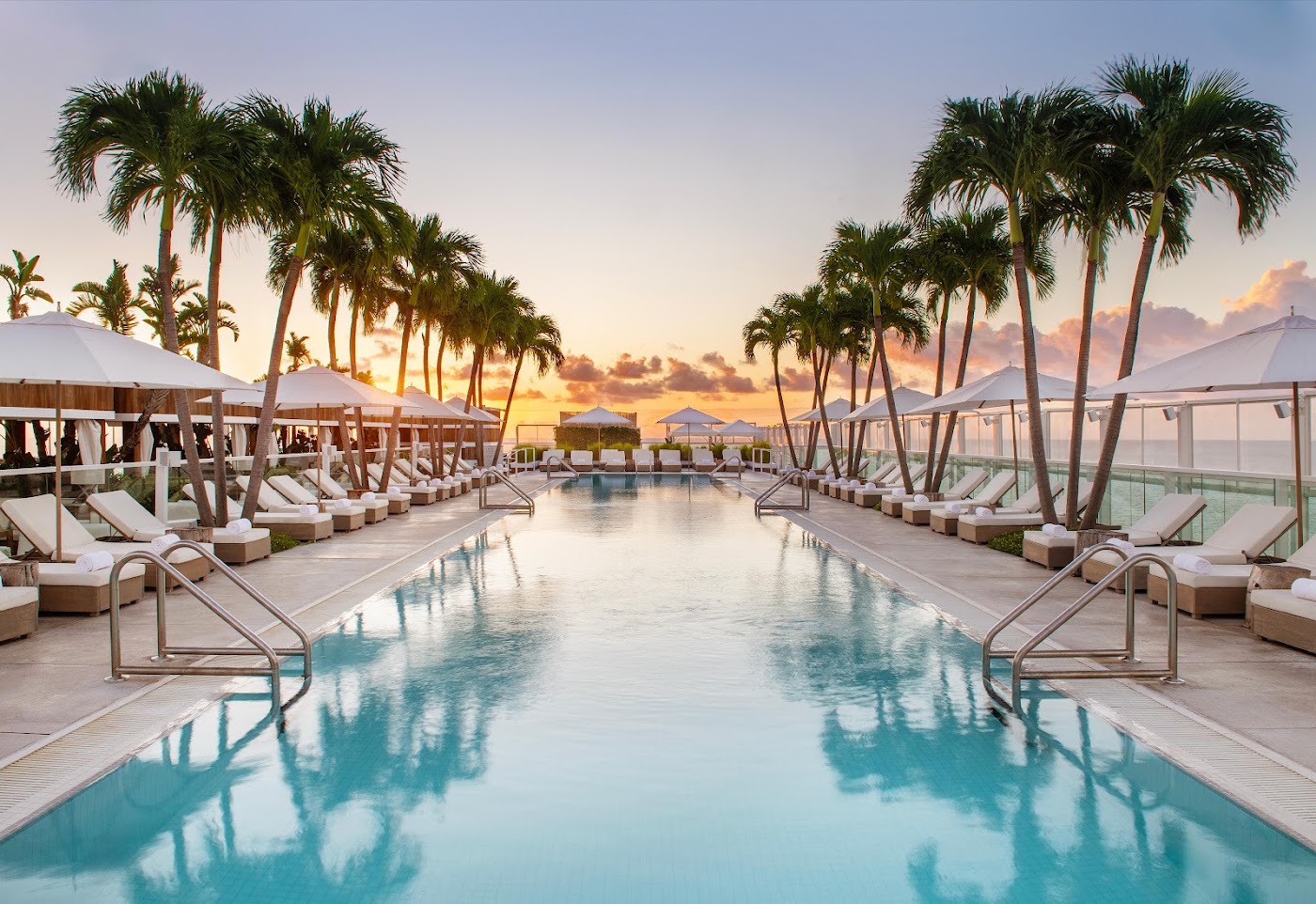 1 Hotel South Beach, dog-friendly hotel, photo 4
