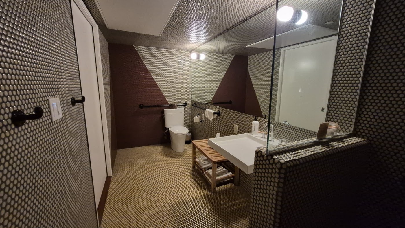 Ace Hotel and Swim Club, dog-friendly hotel, photo 5