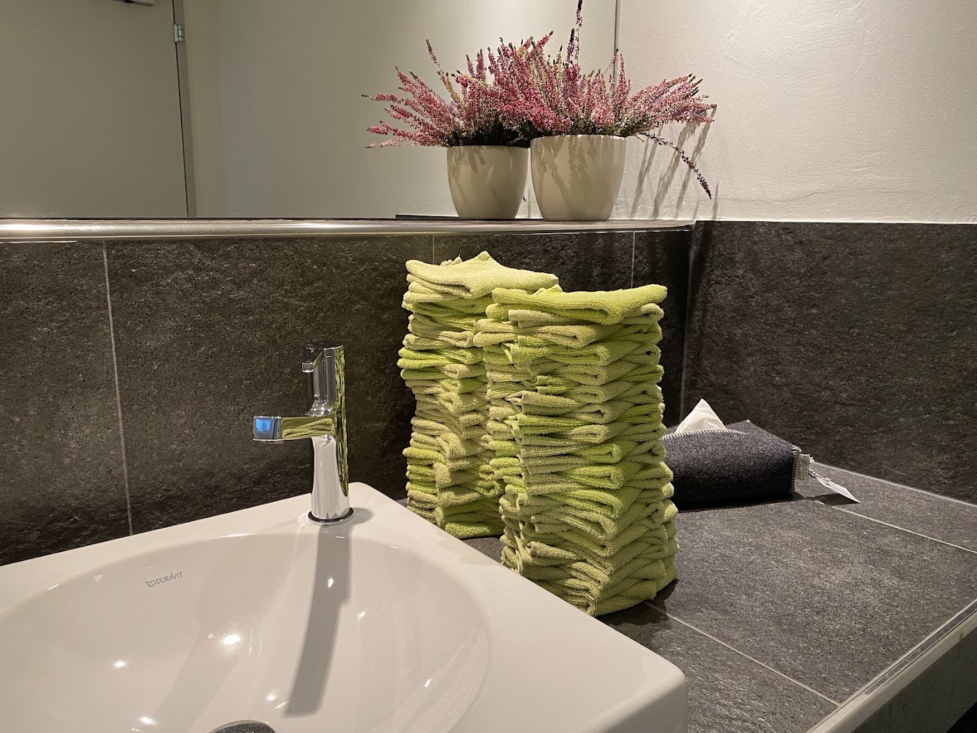 Adula Hotel, dog-friendly hotel, photo 5