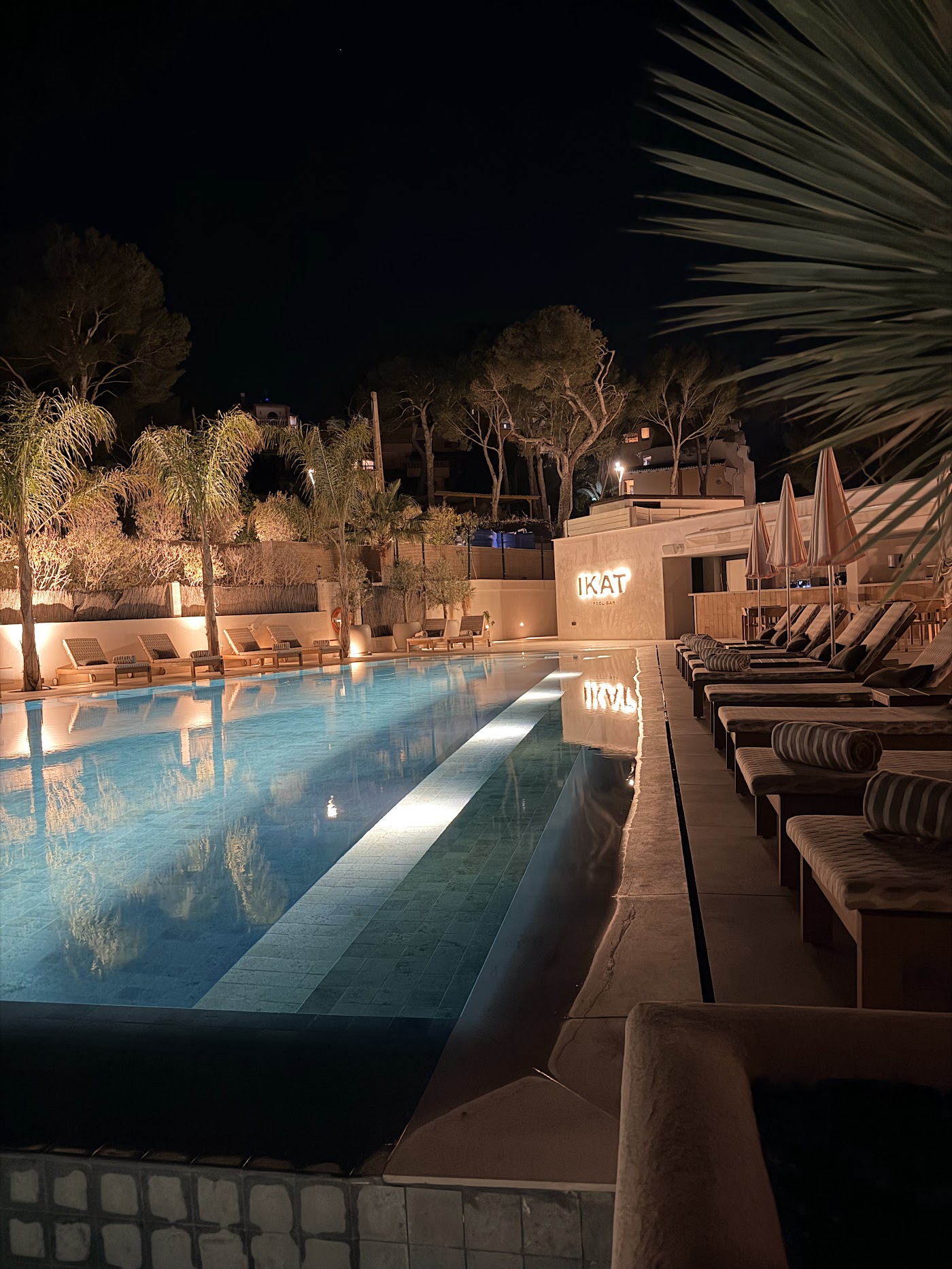 Aethos Mallorca, dog-friendly hotel, photo 4