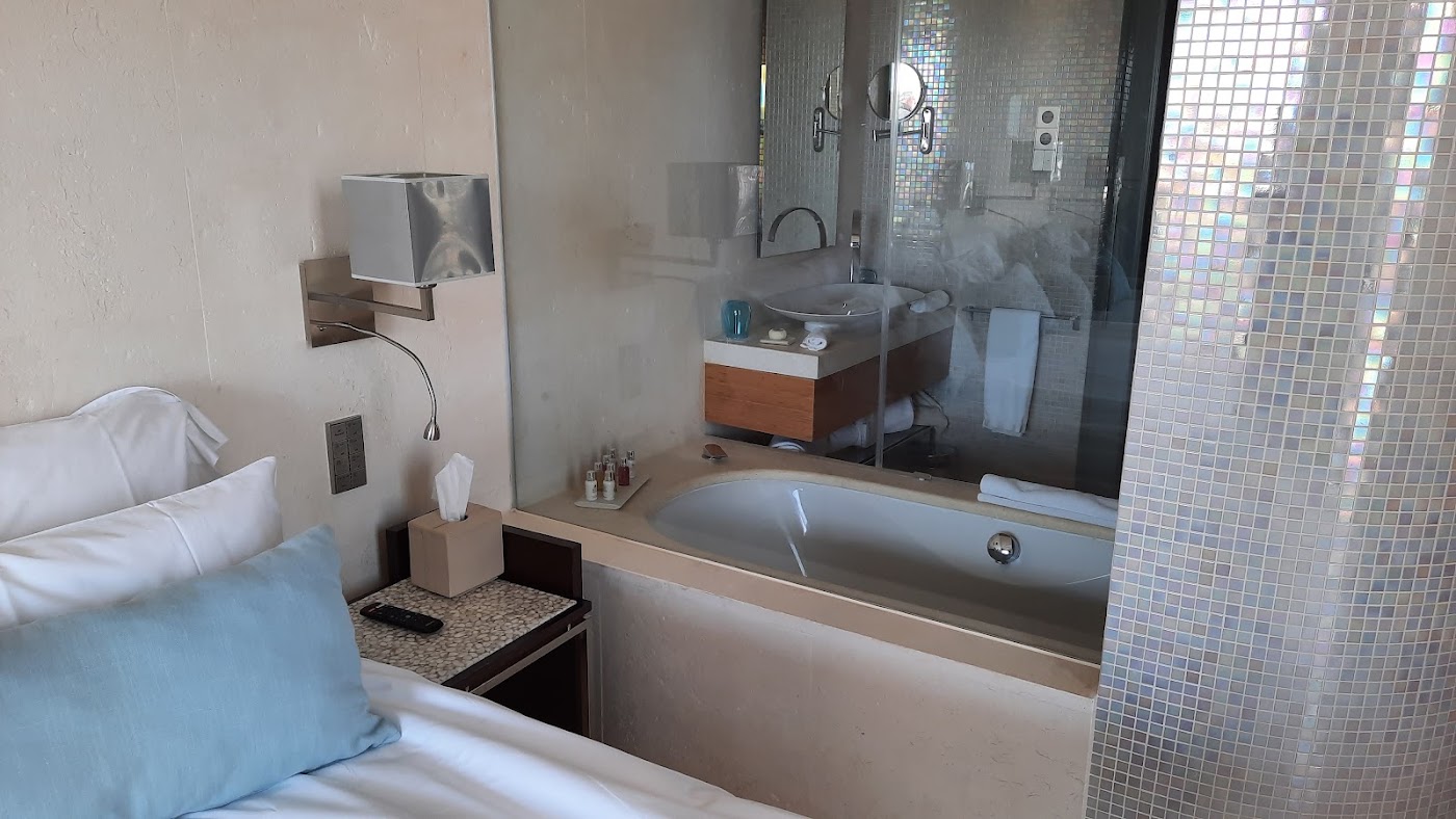 Aguas de Ibiza Grand Luxe Hotel, dog-friendly hotel, photo 5