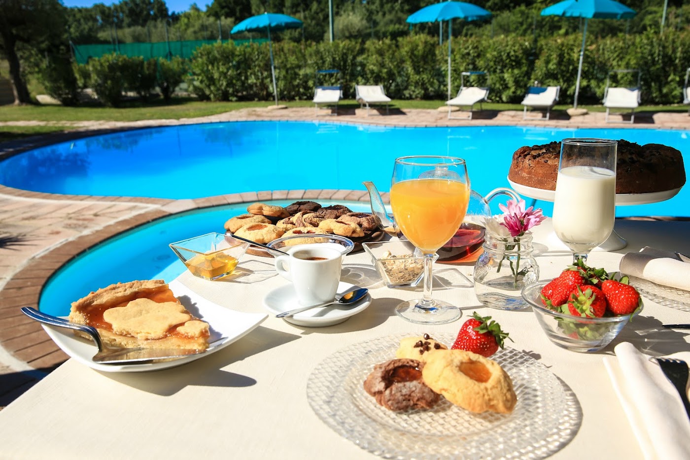 Alghero Resort Country Hotel & Spa, dog-friendly hotel, photo 4