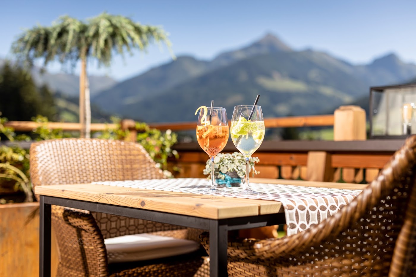 Alpbacherhof Mountain & Spa Resort, dog-friendly hotel, photo 2