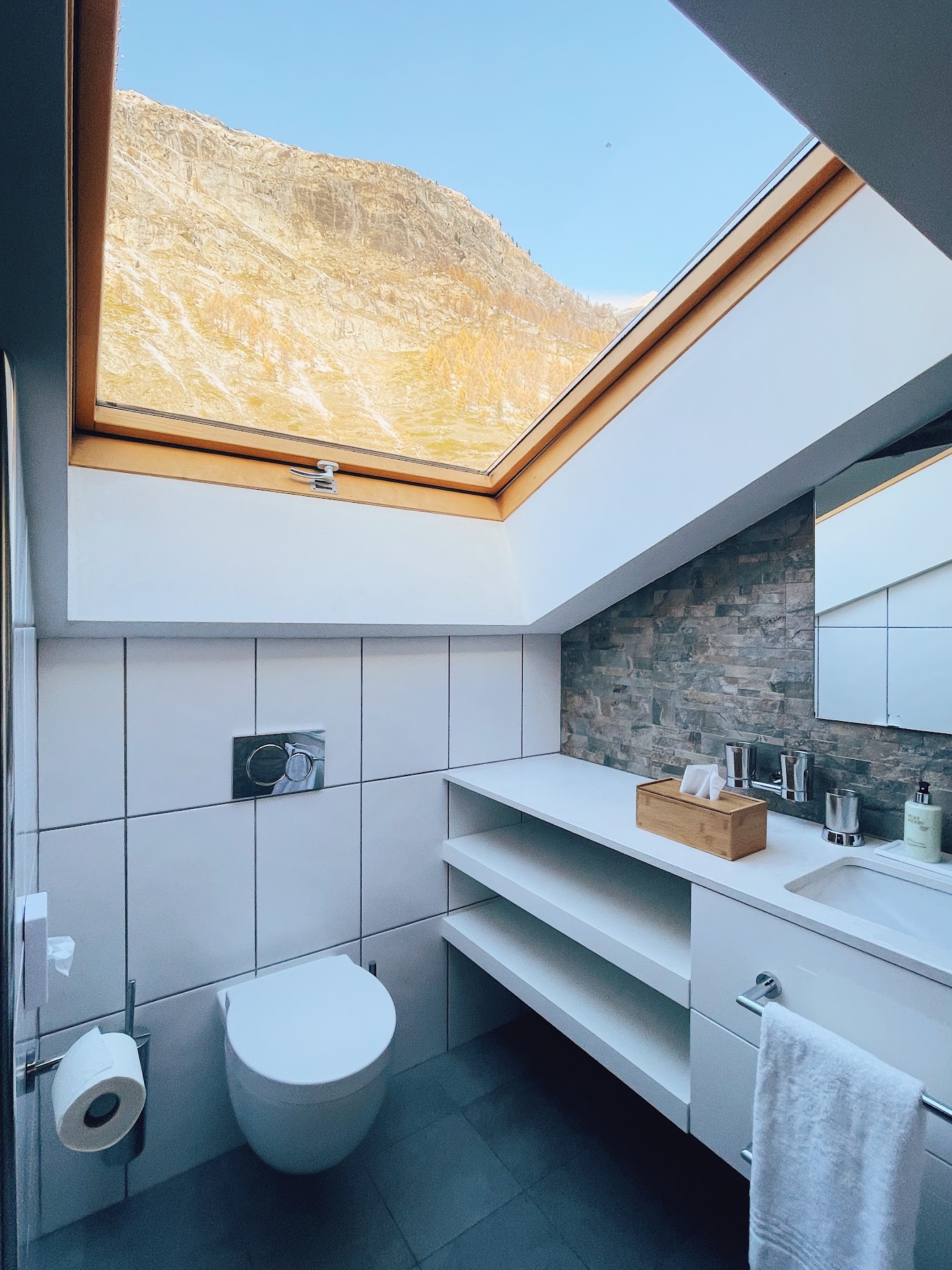 Alpen Resort & Spa Zermatt, dog-friendly hotel, photo 5