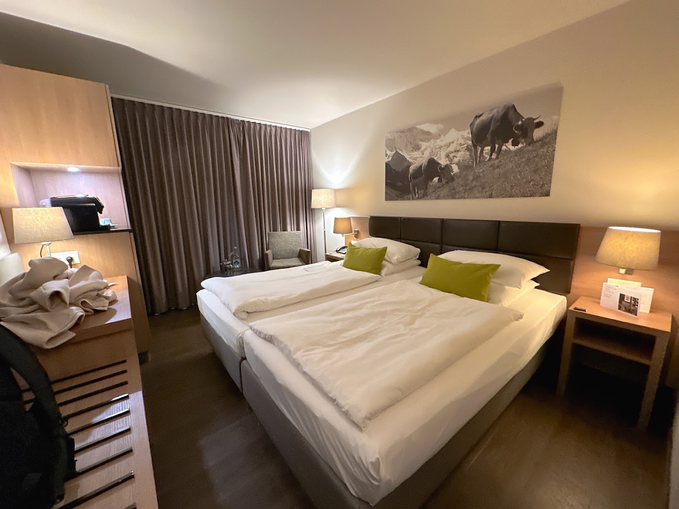 AMERON Luzern Hotel Flora, dog-friendly hotel, photo 3