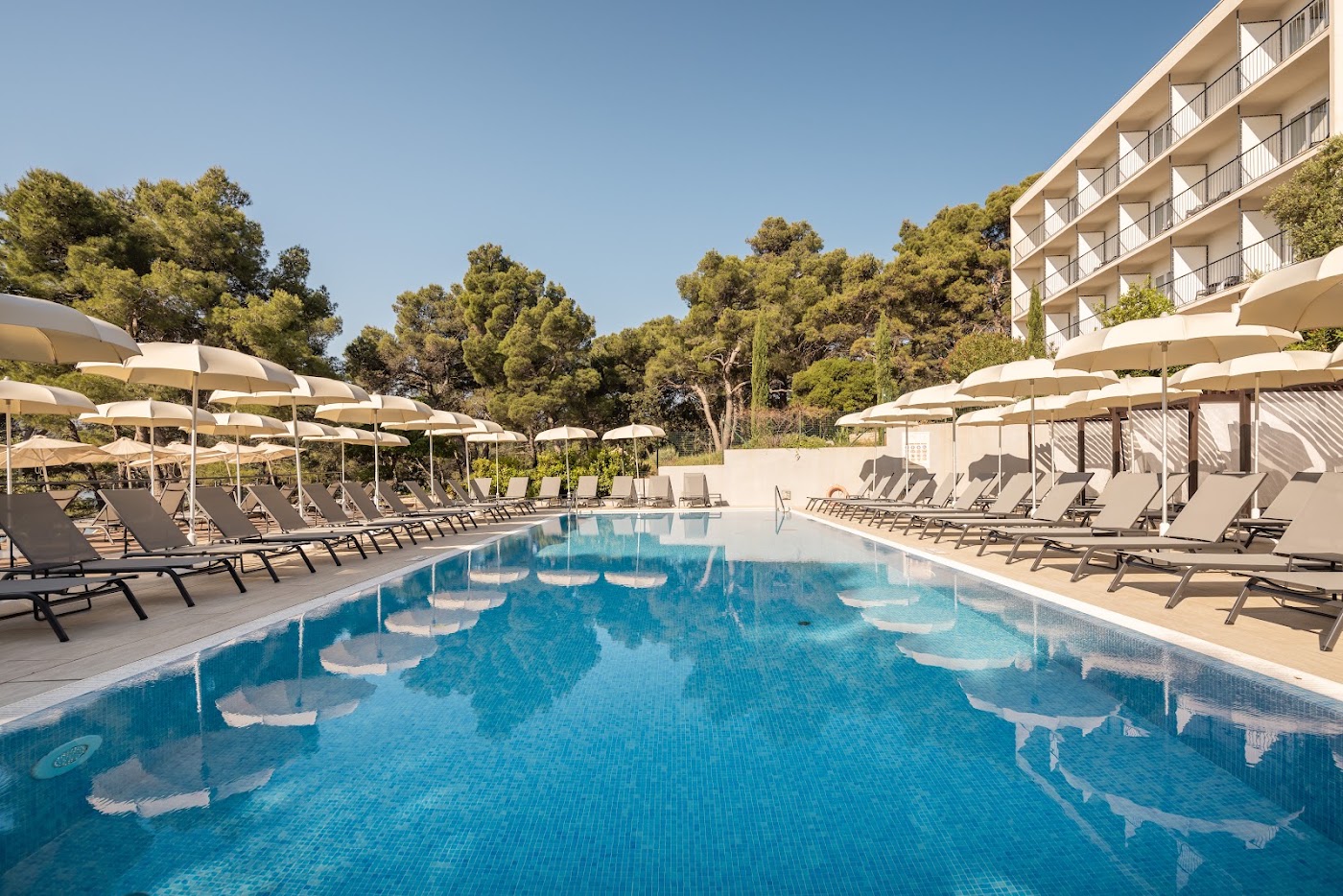 Aminess Senses Hvar Resort, dog-friendly hotel, photo 4
