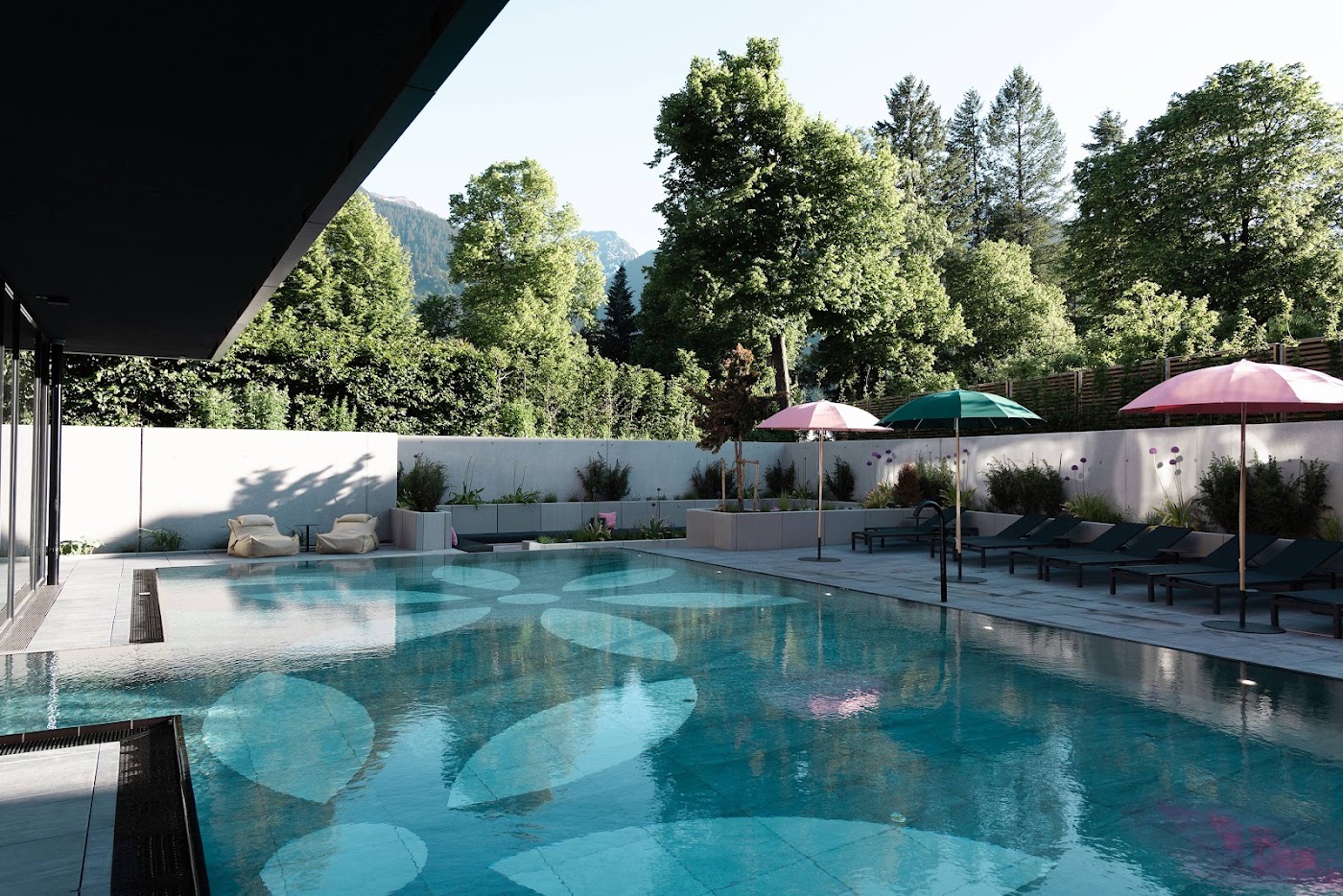 AMRAI Suites, dog-friendly hotel, photo 4