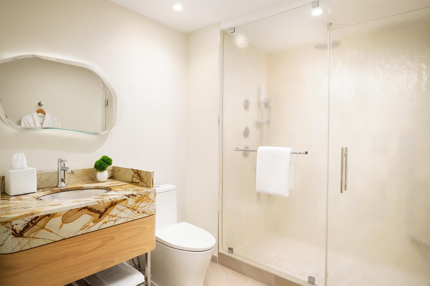 Andaz Miami Beach, dog-friendly hotel, photo 5