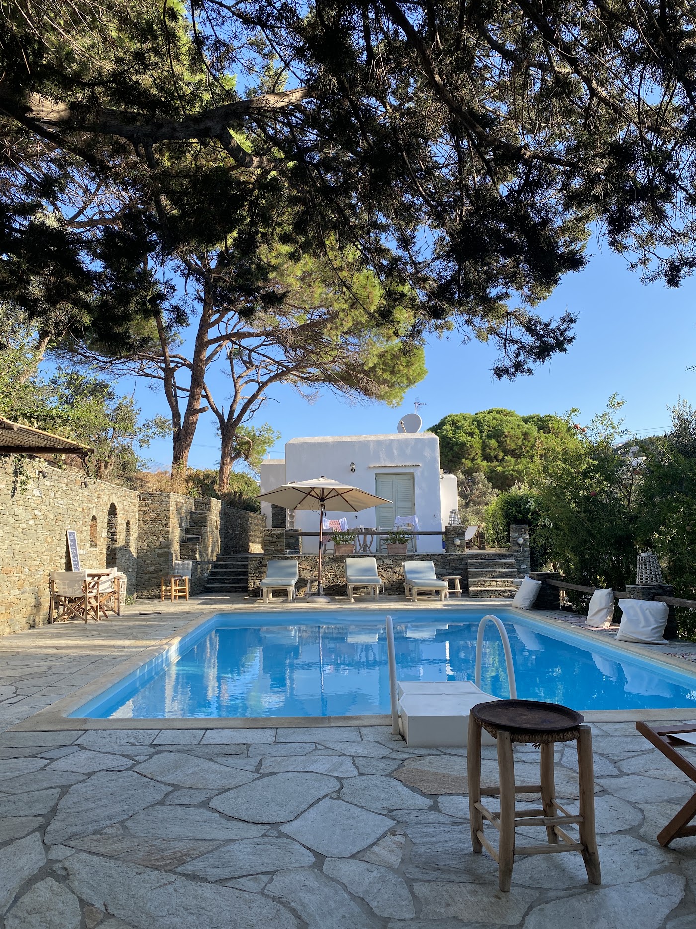 Andromeda Sifnos, dog-friendly hotel, photo 4