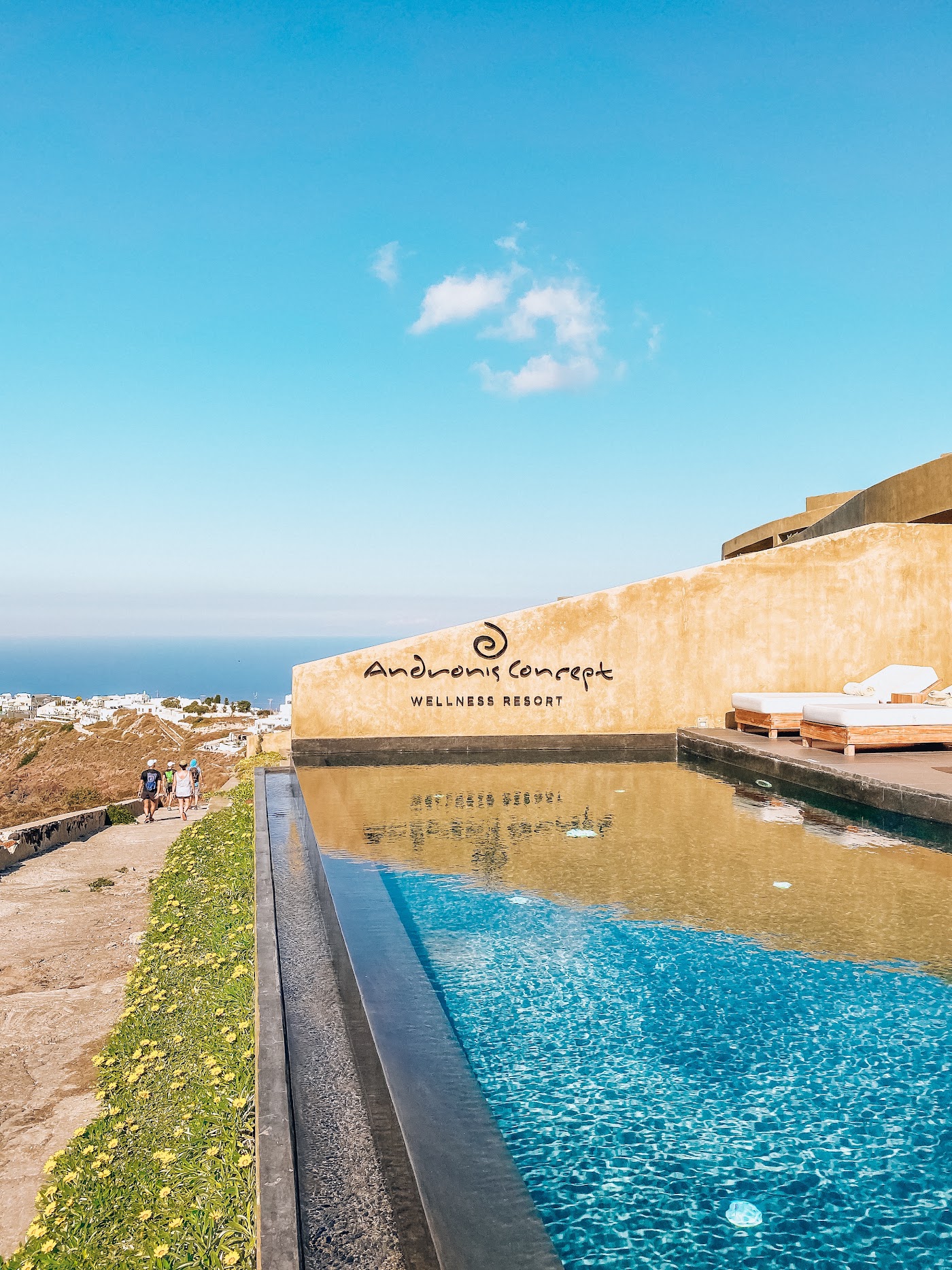 Andronis Concept Wellness Resort, dog-friendly hotel, photo 4