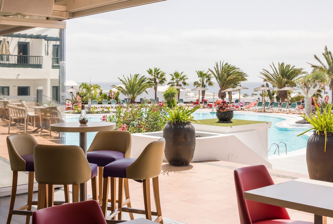 Aparthotel ILUNION Costa Sal Lanzarote, dog-friendly hotel, photo 5