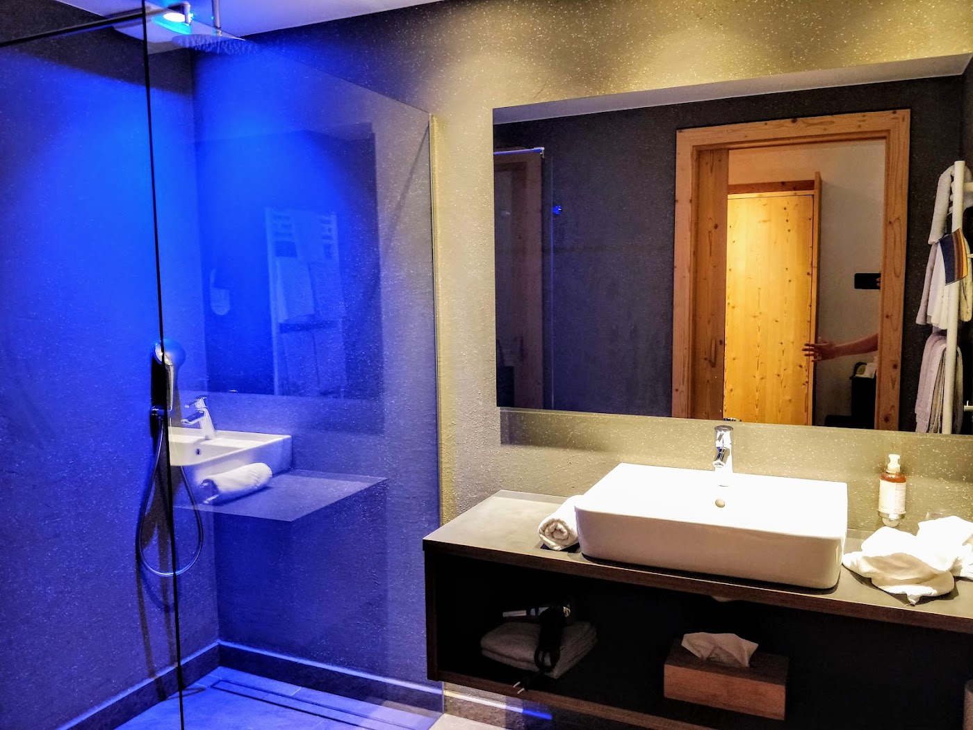 Artnatur Dolomites Hotel & Spa, dog-friendly hotel, photo 5