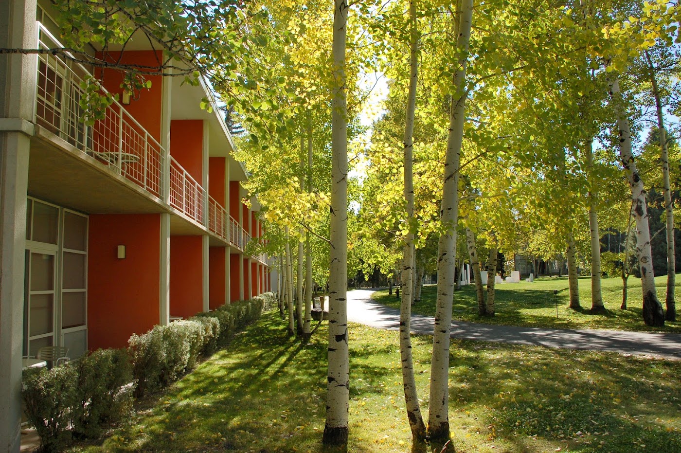 Aspen Meadows Resort, dog-friendly hotel in Aspen