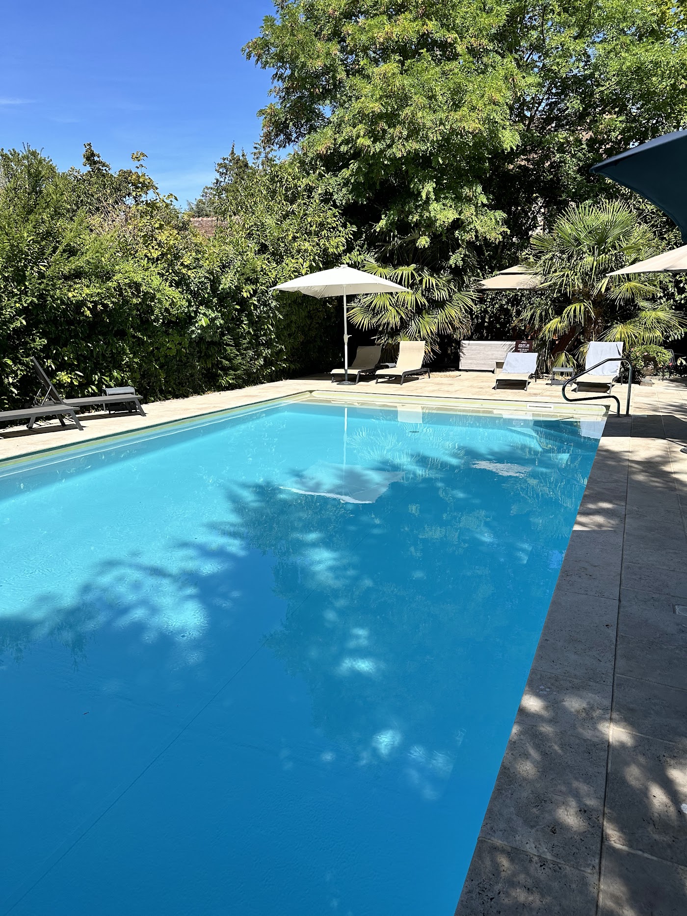 Auberge du Bon Laboureur, dog-friendly hotel, photo 4