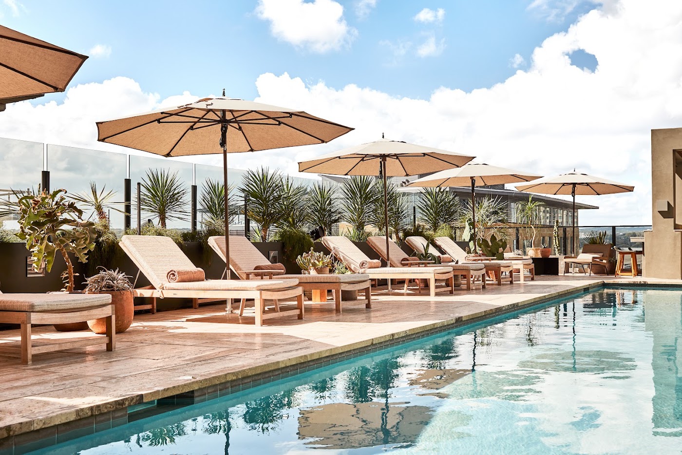 Austin Proper Hotel, a Member of Design Hotels, dog-friendly hotel, photo 2