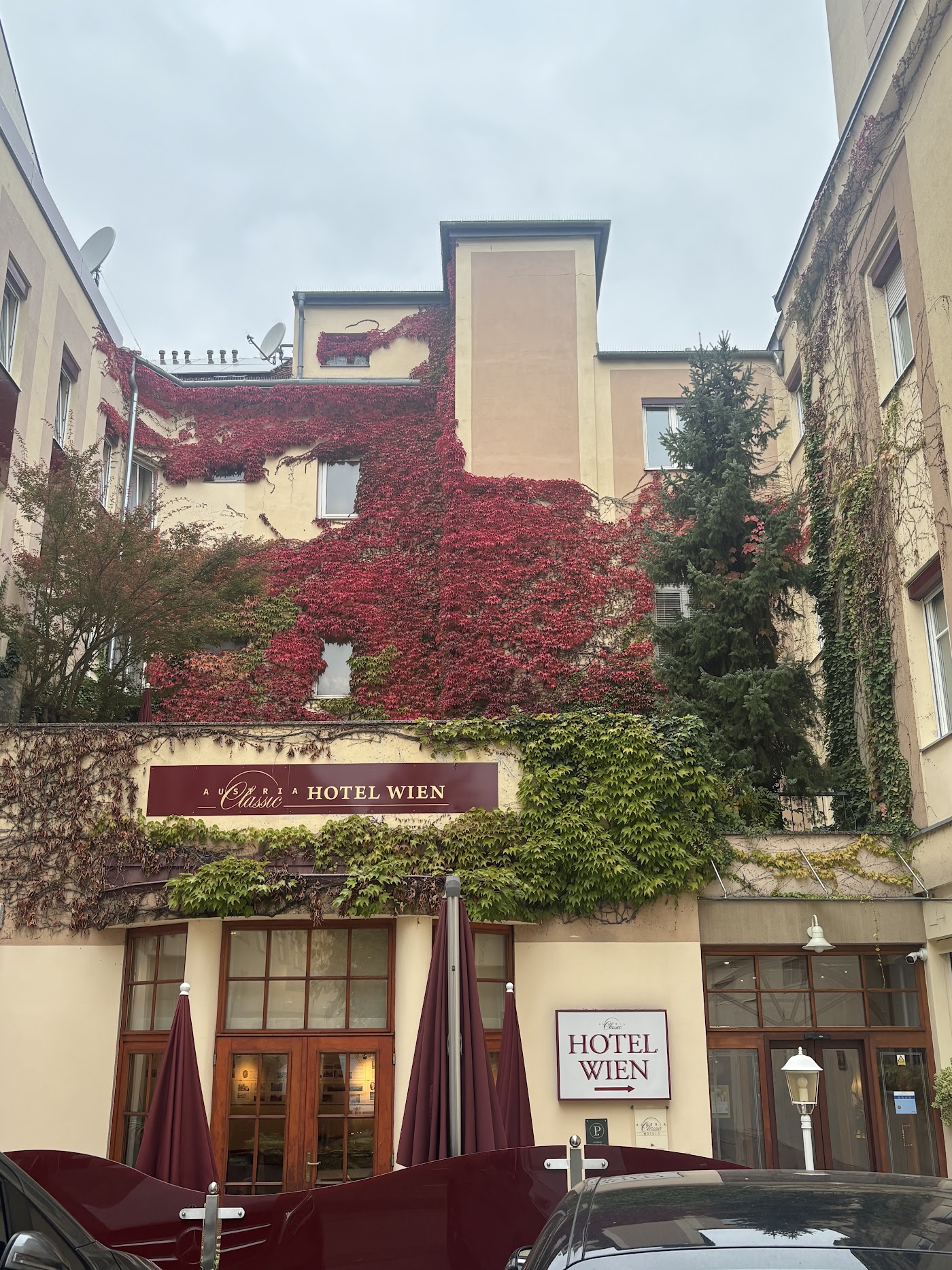 Austria Classic Hotel Wien, dog-friendly hotel, photo 5