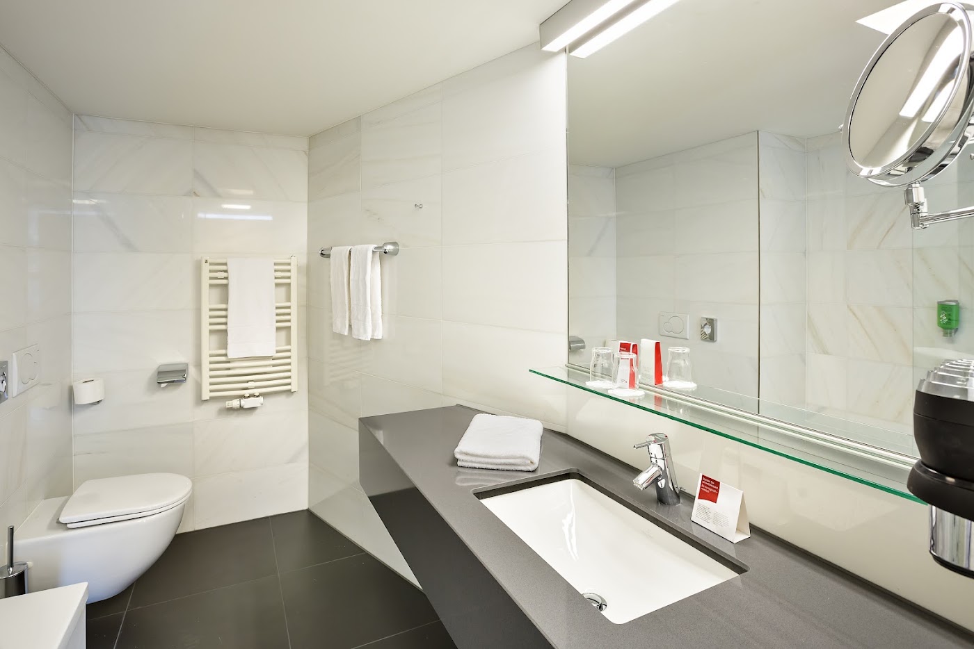 Austria Trend Hotel Congress Innsbruck, dog-friendly hotel, photo 4