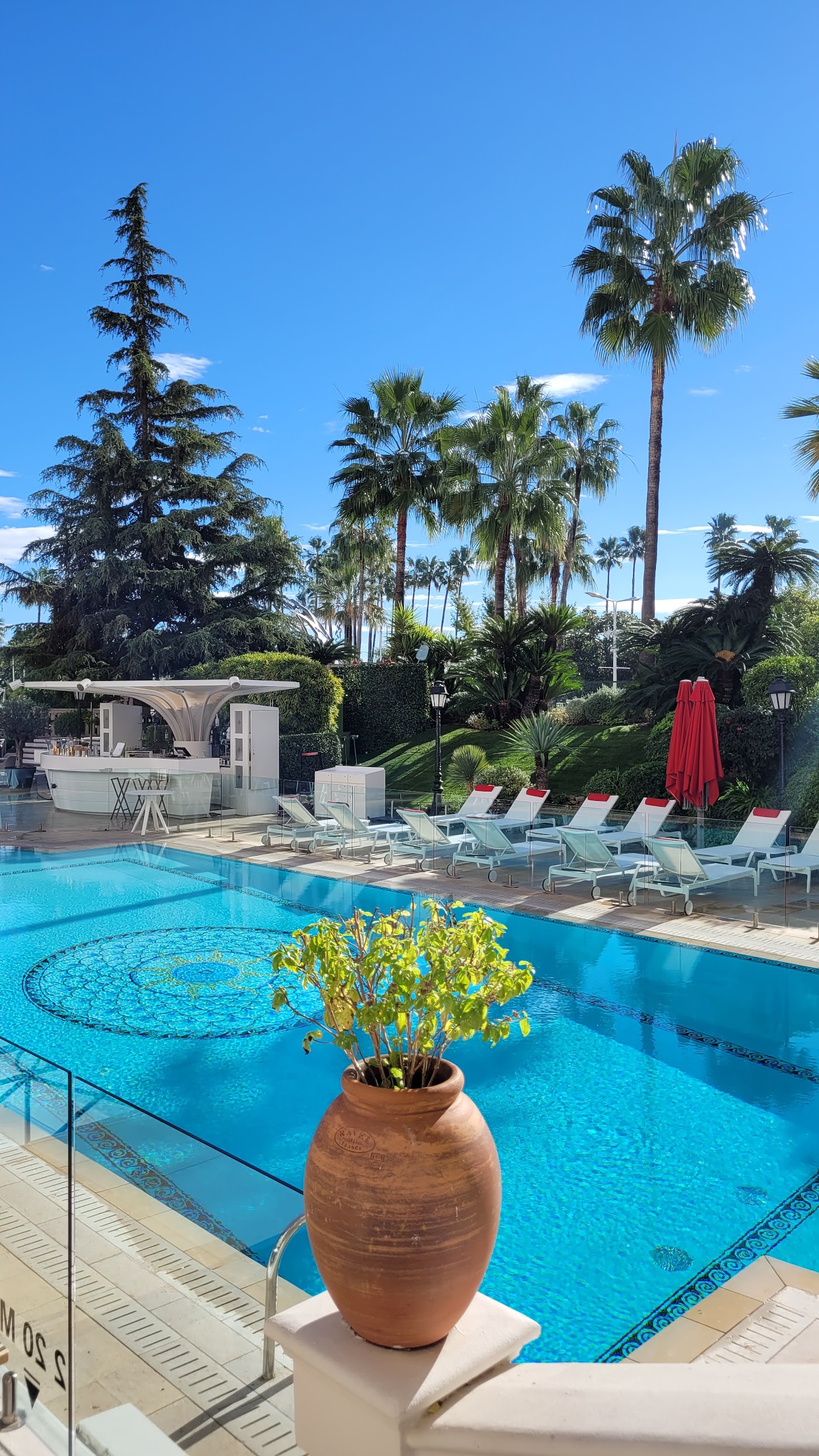 Hôtel Barrière Le Majestic Cannes, dog-friendly hotel, photo 4