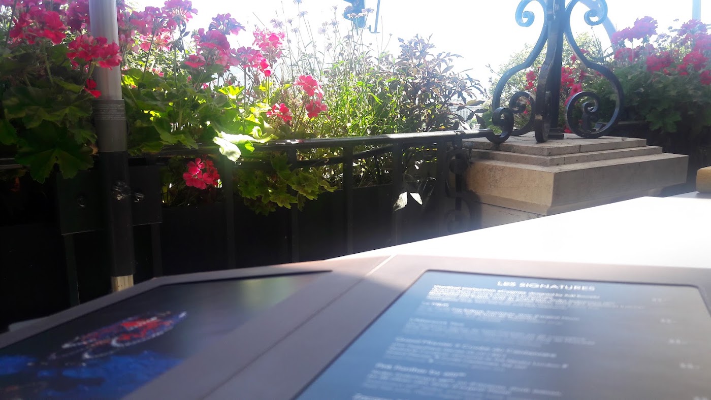 Beau-Rivage Genève, dog-friendly hotel, photo 4