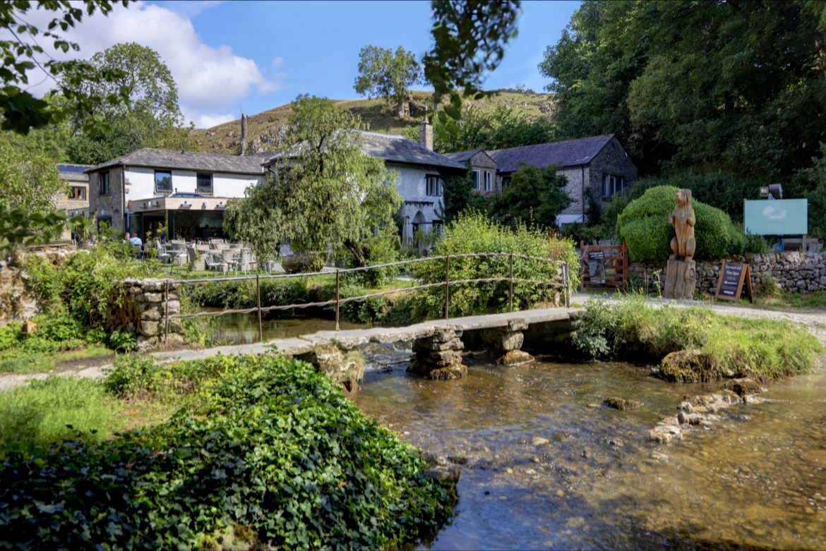 Beck Hall, dog-friendly hotel, photo 2