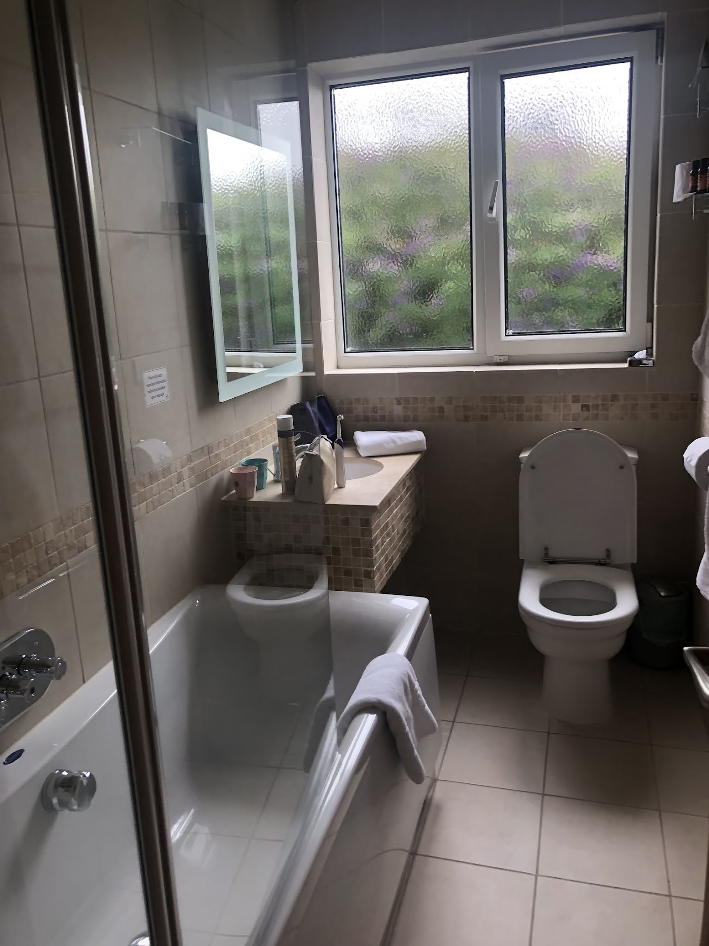 Bedruthan Hotel & Spa, dog-friendly hotel, photo 4
