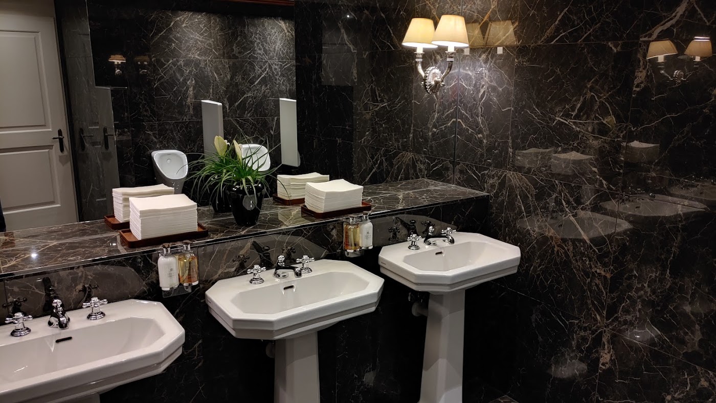 Bellevue Palace Bern, dog-friendly hotel, photo 4