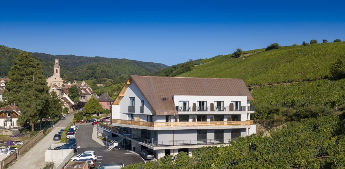 Best dog-friendly hotels in colmar