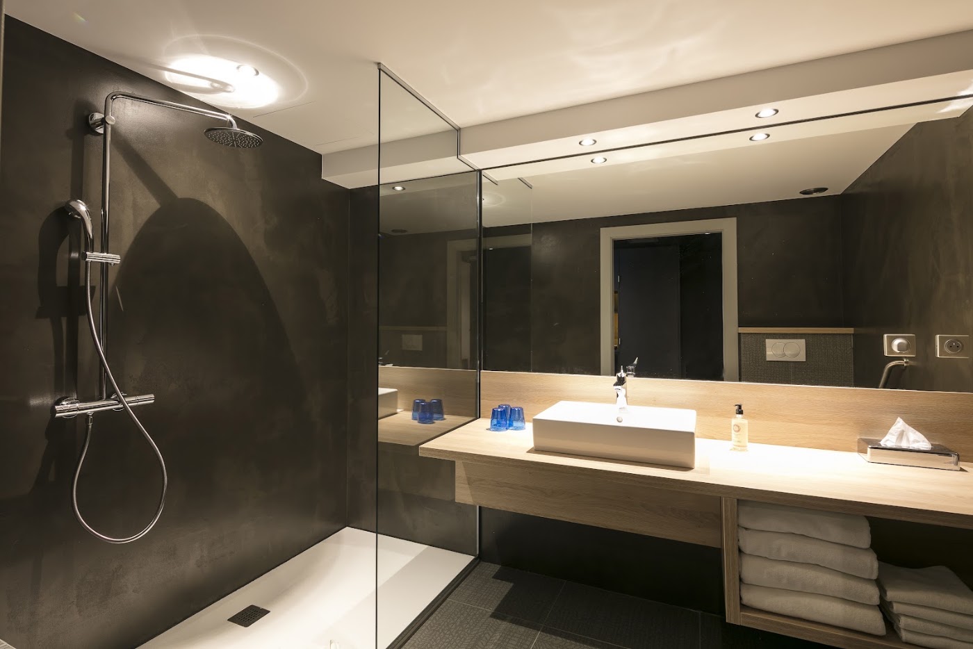 Best Western Plus Hôtel & Spa Le Schoenenbourg, dog-friendly hotel, photo 4