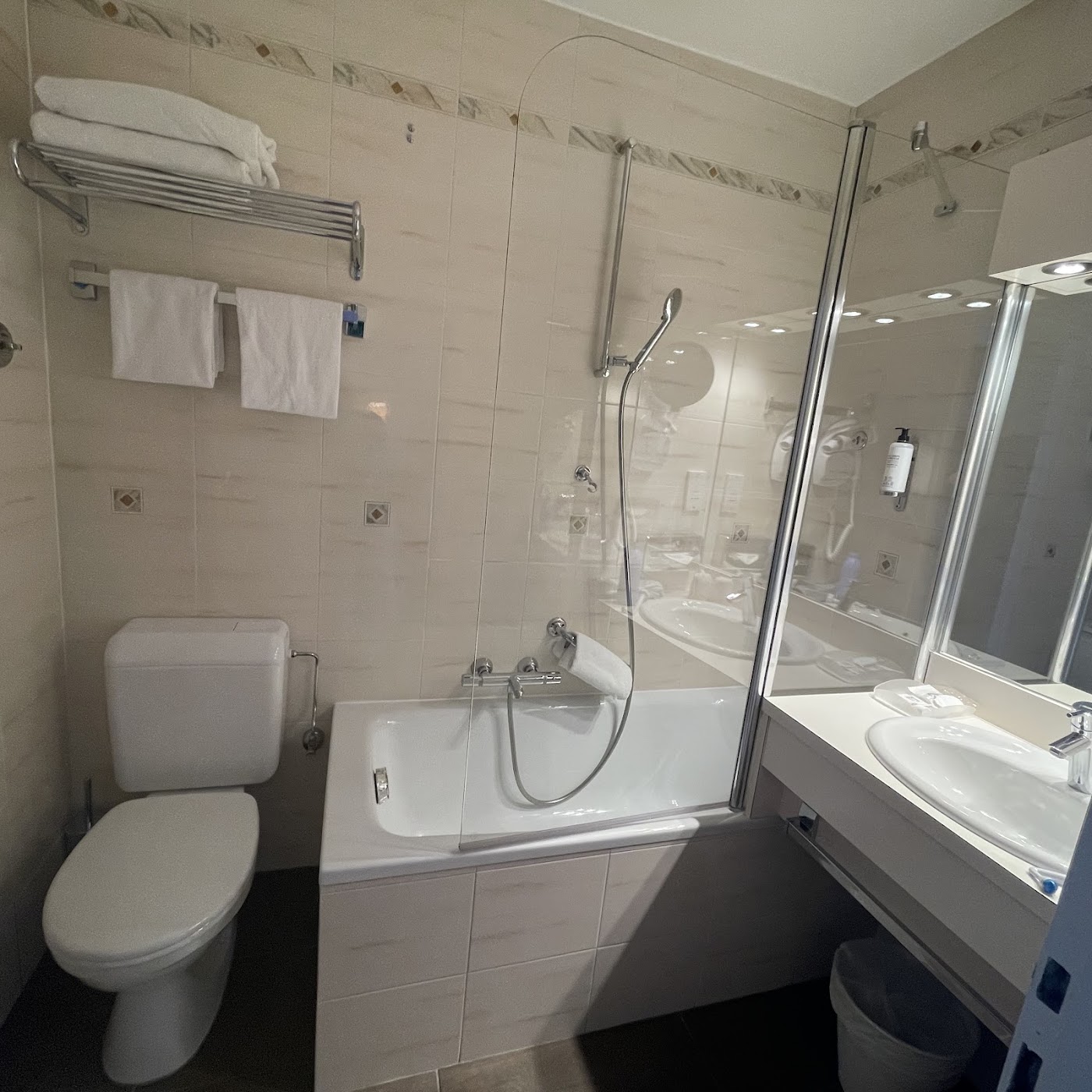 Best Western Plus Hôtel Carlton, dog-friendly hotel, photo 4