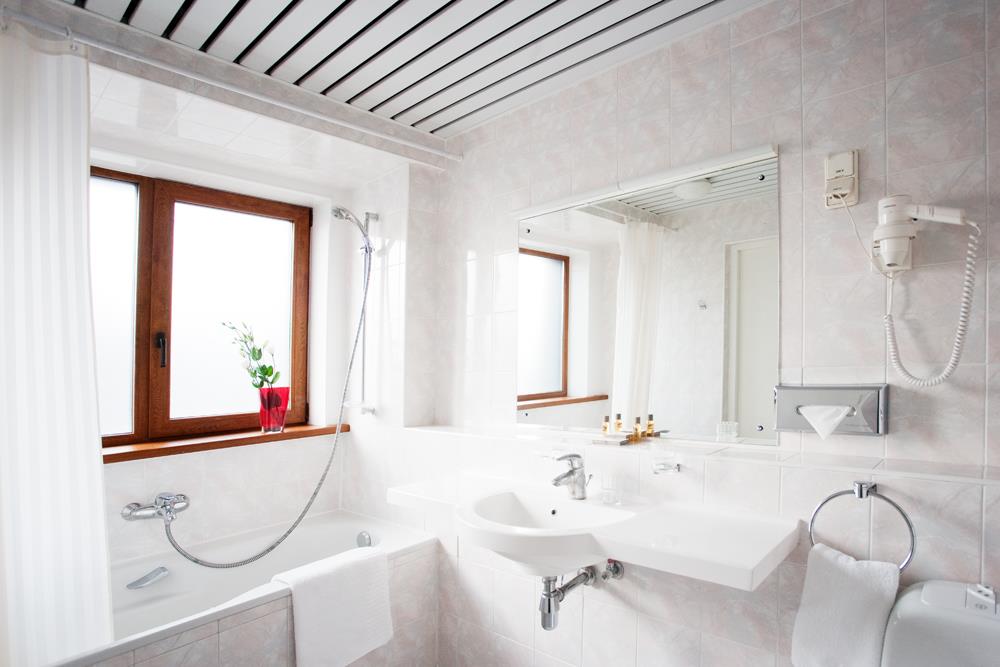 Best Western Vilnius, dog-friendly hotel, photo 5