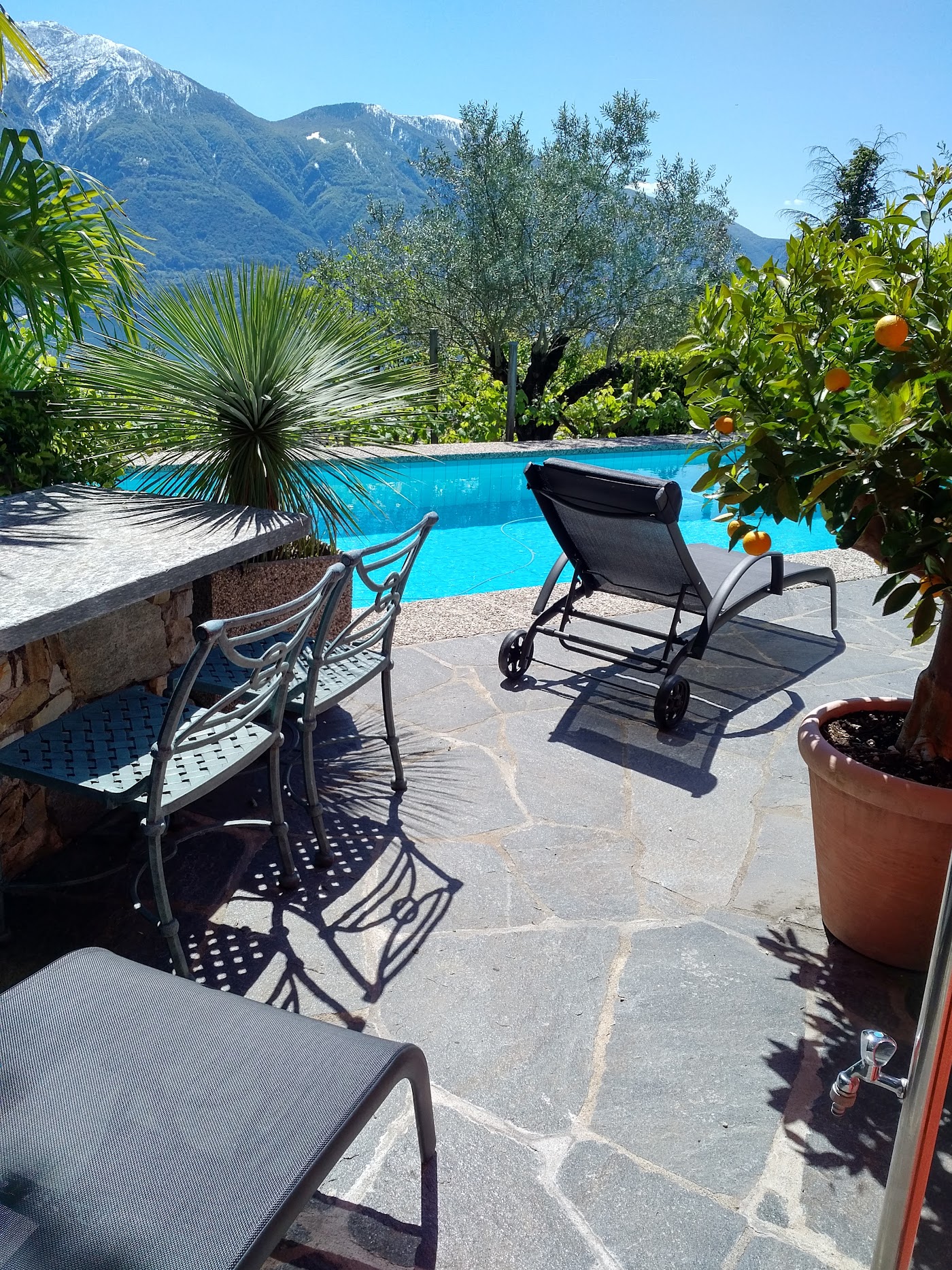 Boutique Hotel Albergo Brione, dog-friendly hotel, photo 5