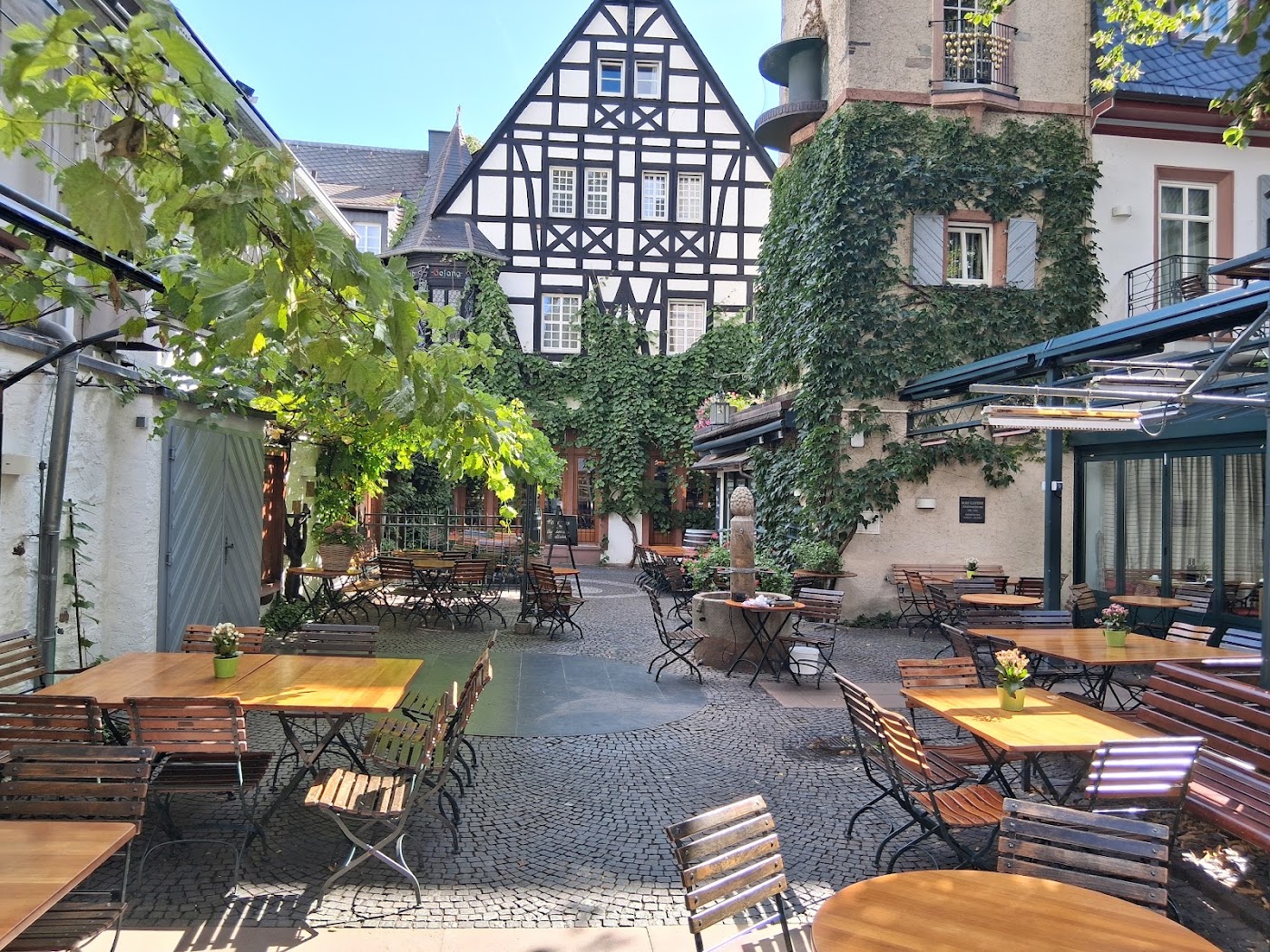Breuer's Rüdesheimer Schloss, dog-friendly hotel, photo 5