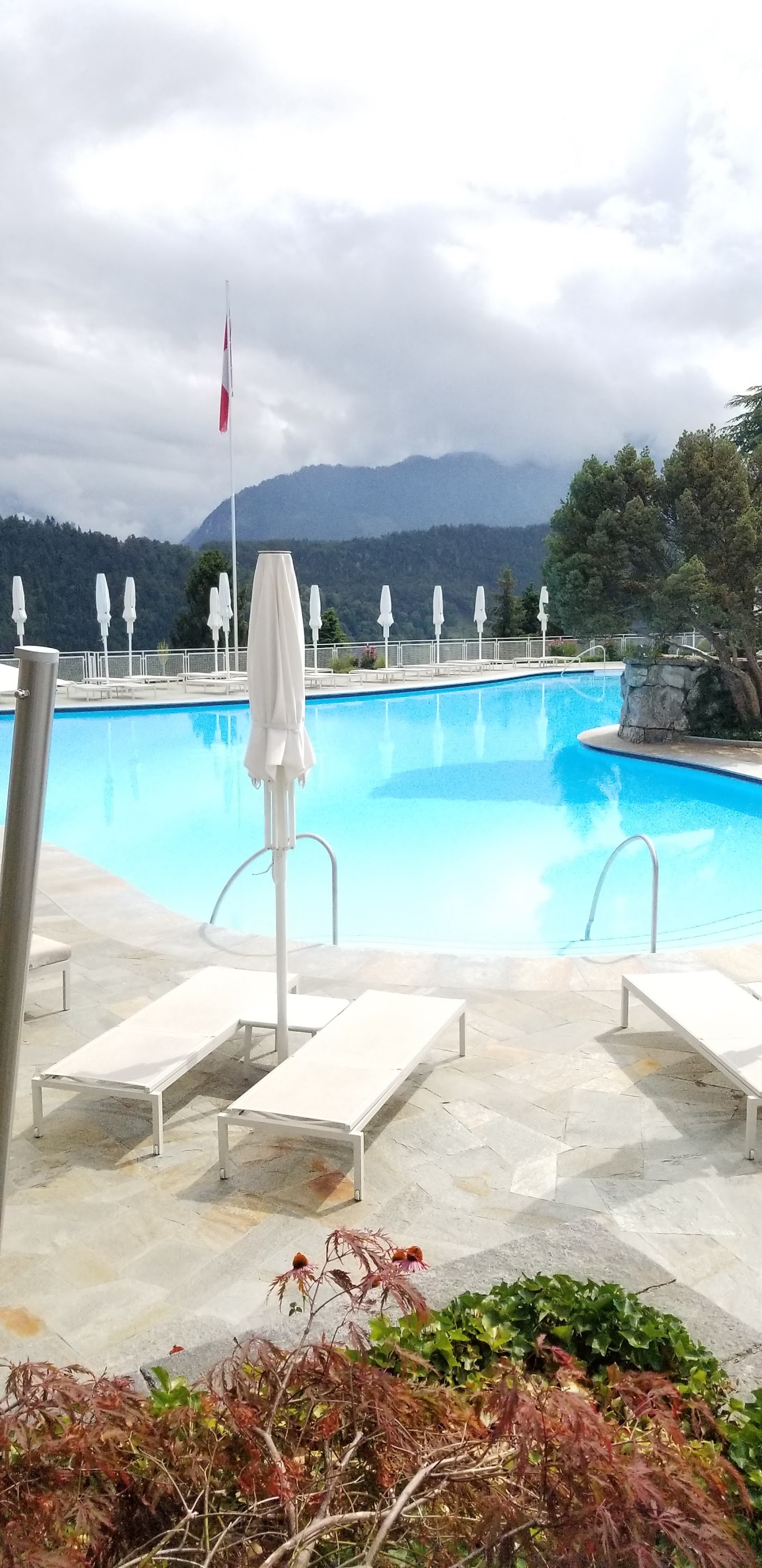 Bürgenstock Hotels & Resort – Taverne 1879, dog-friendly hotel, photo 4