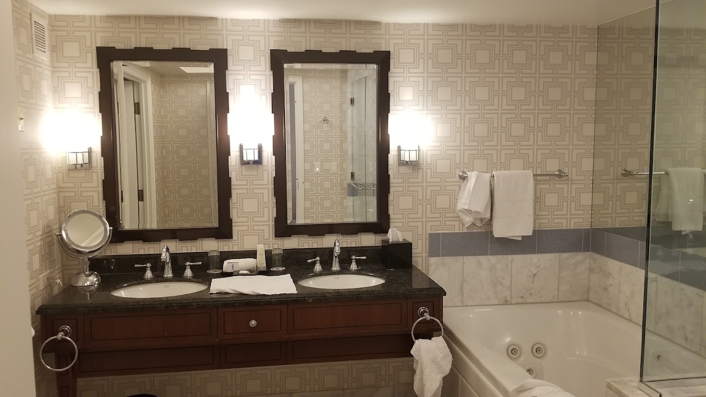 Caesars Palace, dog-friendly hotel, photo 4