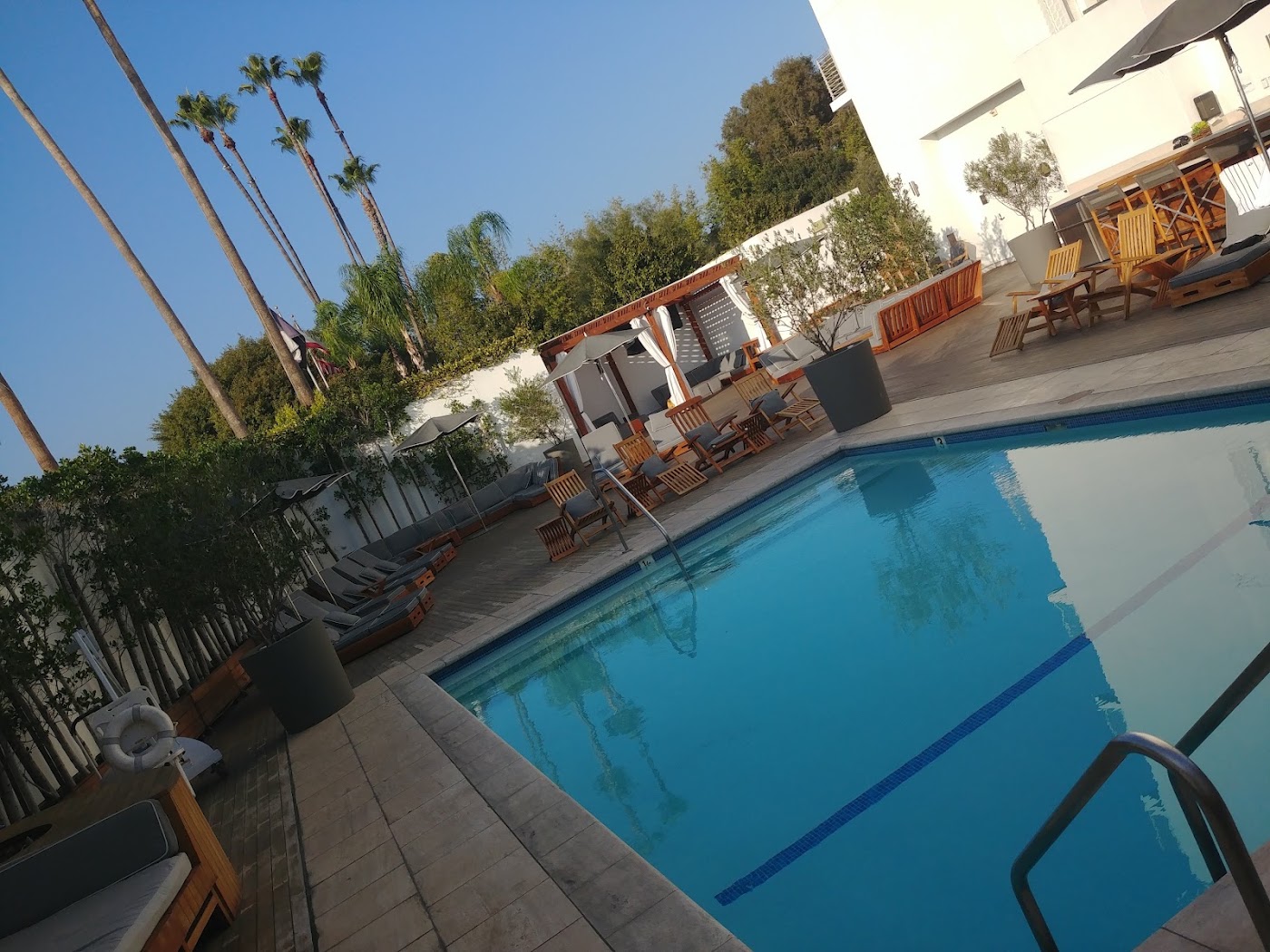Cameo Beverly Hills, dog-friendly hotel, photo 4