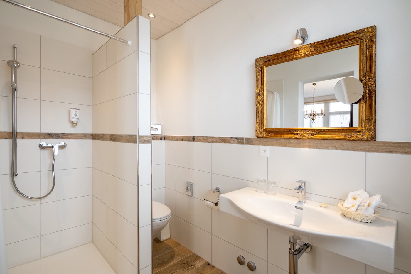 Carlton-Europe Vintage Adults Hotel, dog-friendly hotel, photo 5