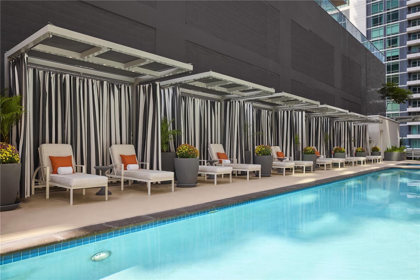 Carte Hotel San Diego Downtown, Curio Collection by Hilton, dog-friendly hotel, photo 4