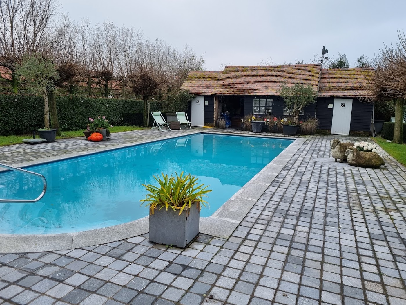 Charmehotel Het Bloemenhof, dog-friendly hotel, photo 4