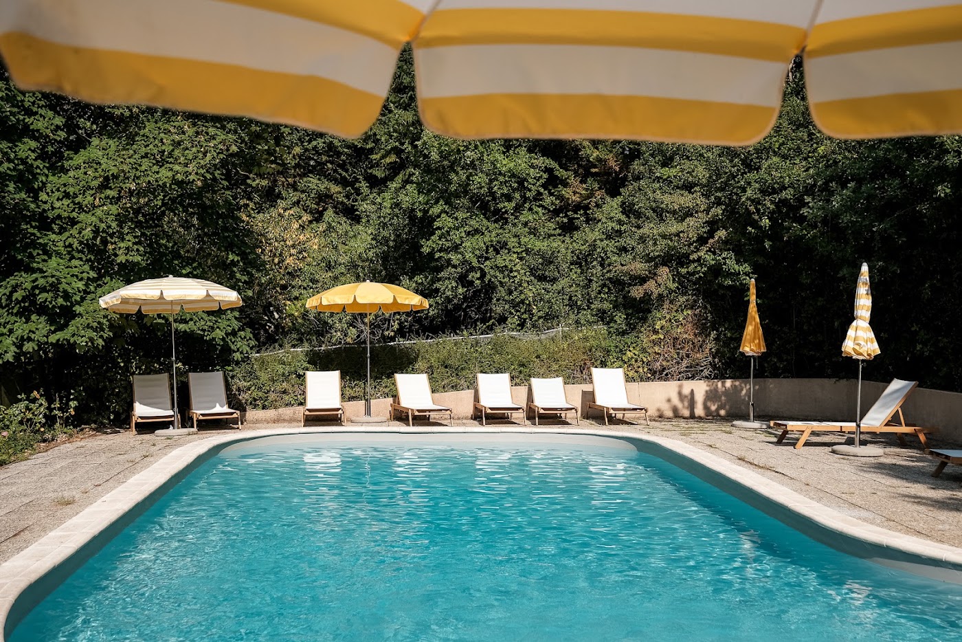 Château de l'Aubrière, dog-friendly hotel, photo 4