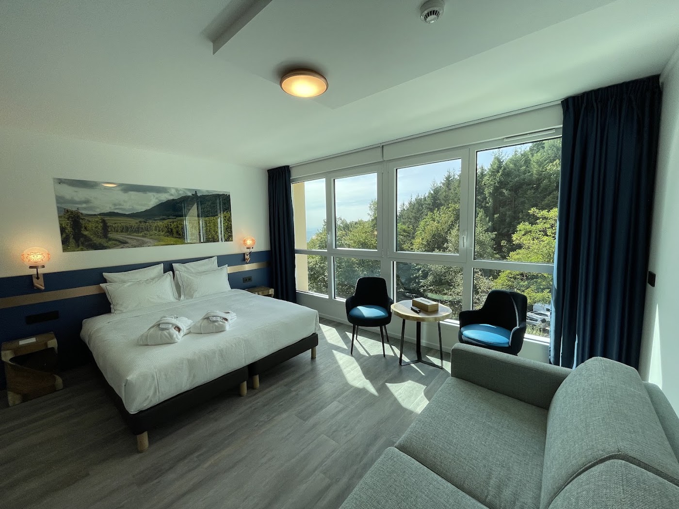 Château d'Isenbourg & Spa, dog-friendly hotel, photo 2