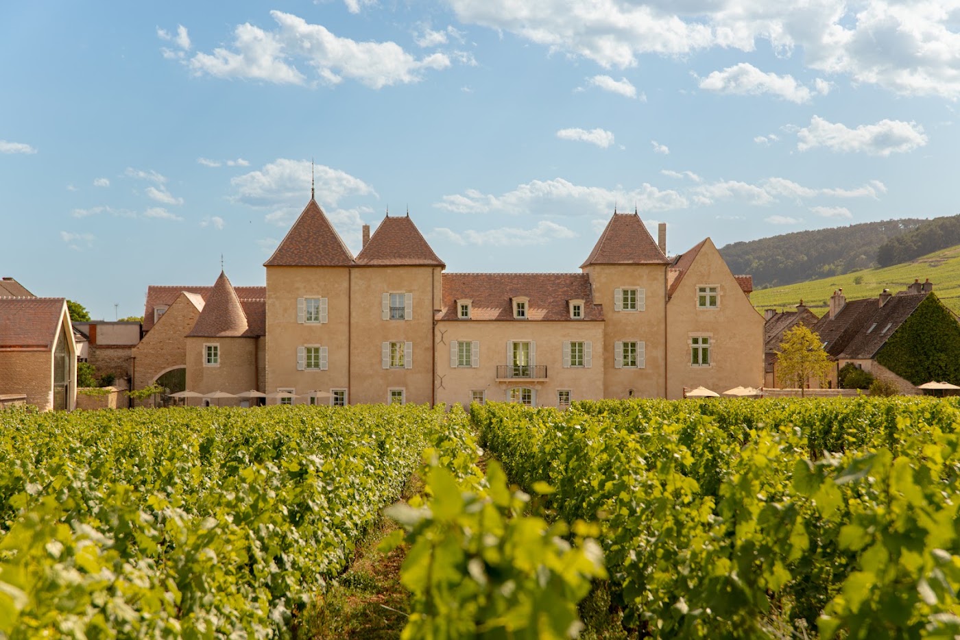 Château la Commaraine, dog-friendly hotel, photo 2