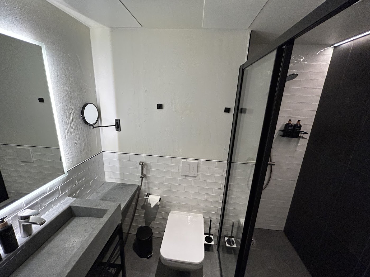 Clarion Hotel Mestari, dog-friendly hotel, photo 3