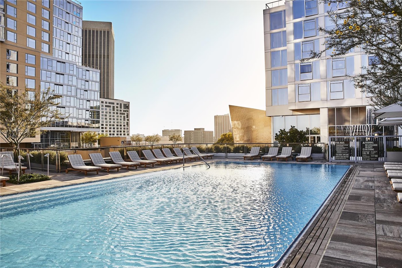 Conrad Los Angeles, dog-friendly hotel, photo 2