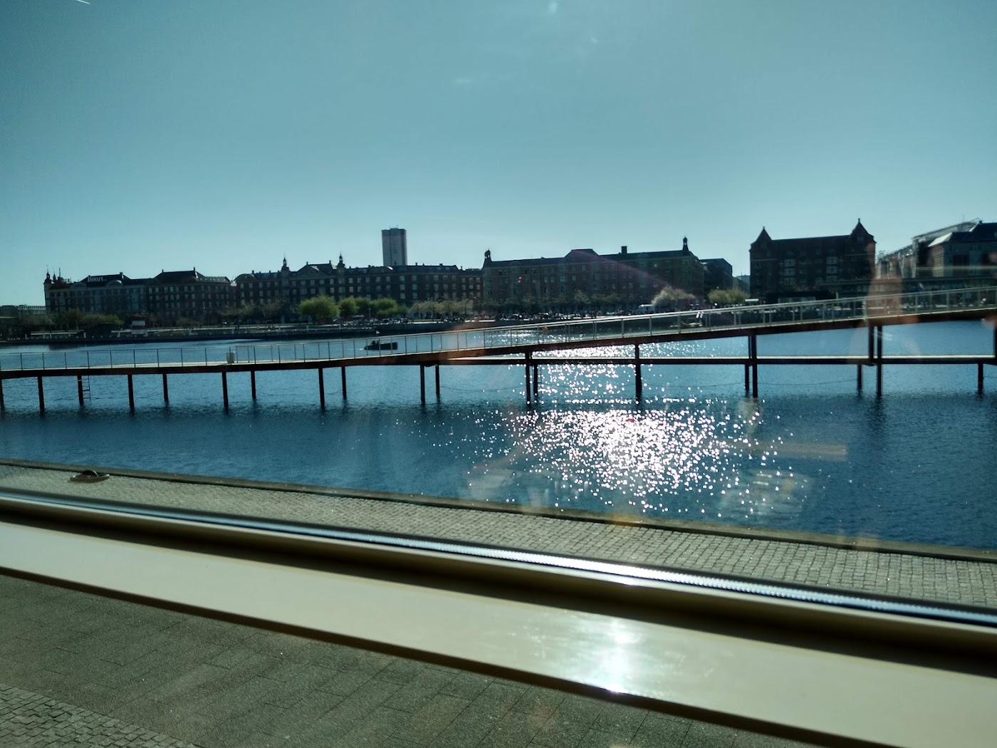Copenhagen Marriott Hotel, dog-friendly hotel, photo 4