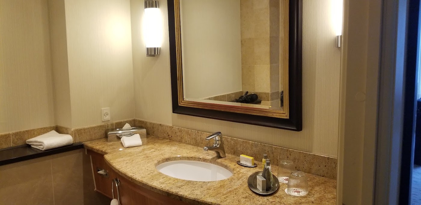 Copenhagen Marriott Hotel, dog-friendly hotel, photo 5