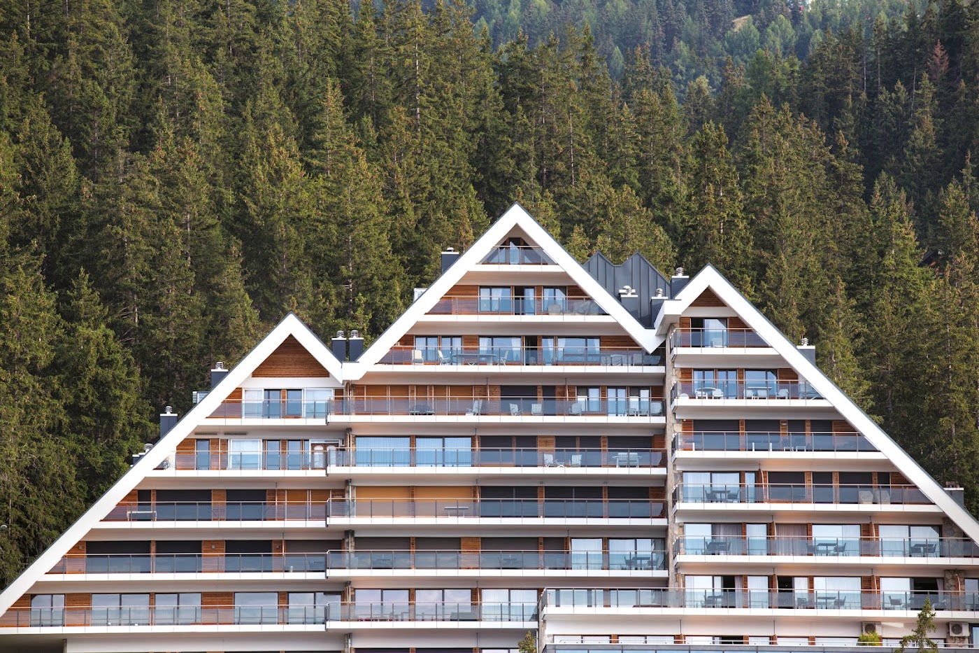 Crans Ambassador, dog-friendly hotel, photo 2