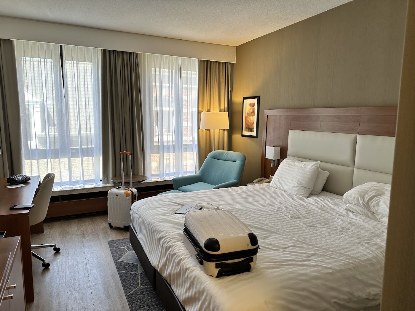 Crowne Plaza Maastricht, dog-friendly hotel, photo 3