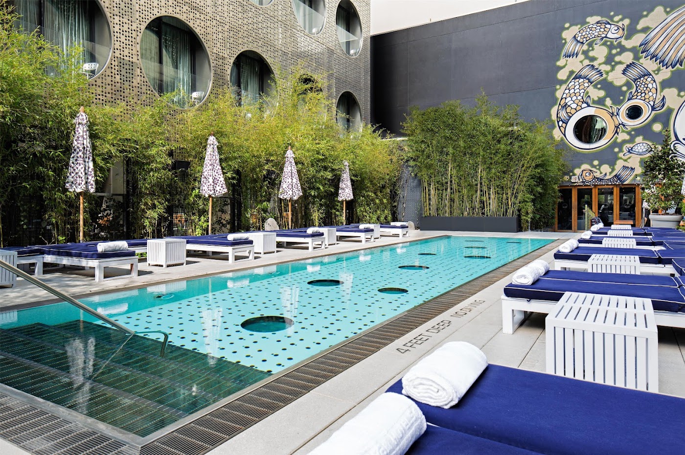 Dream Downtown, dog-friendly hotel, photo 2