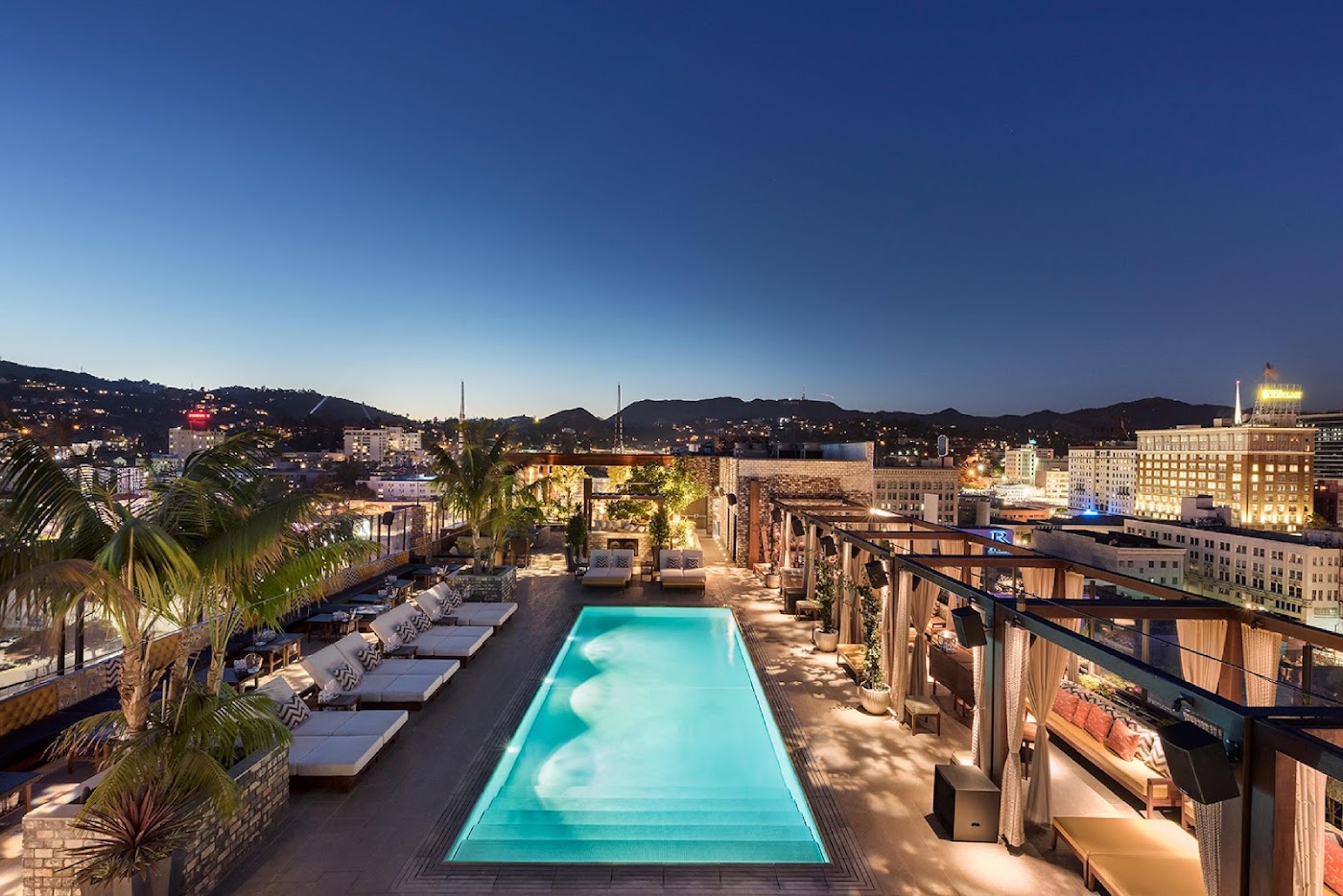Dream Hollywood, dog-friendly hotel, photo 2
